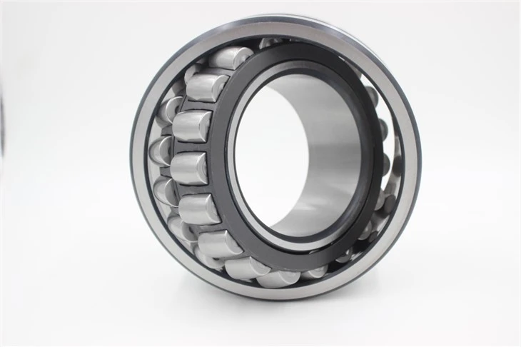 22224 Drive System Bearings
